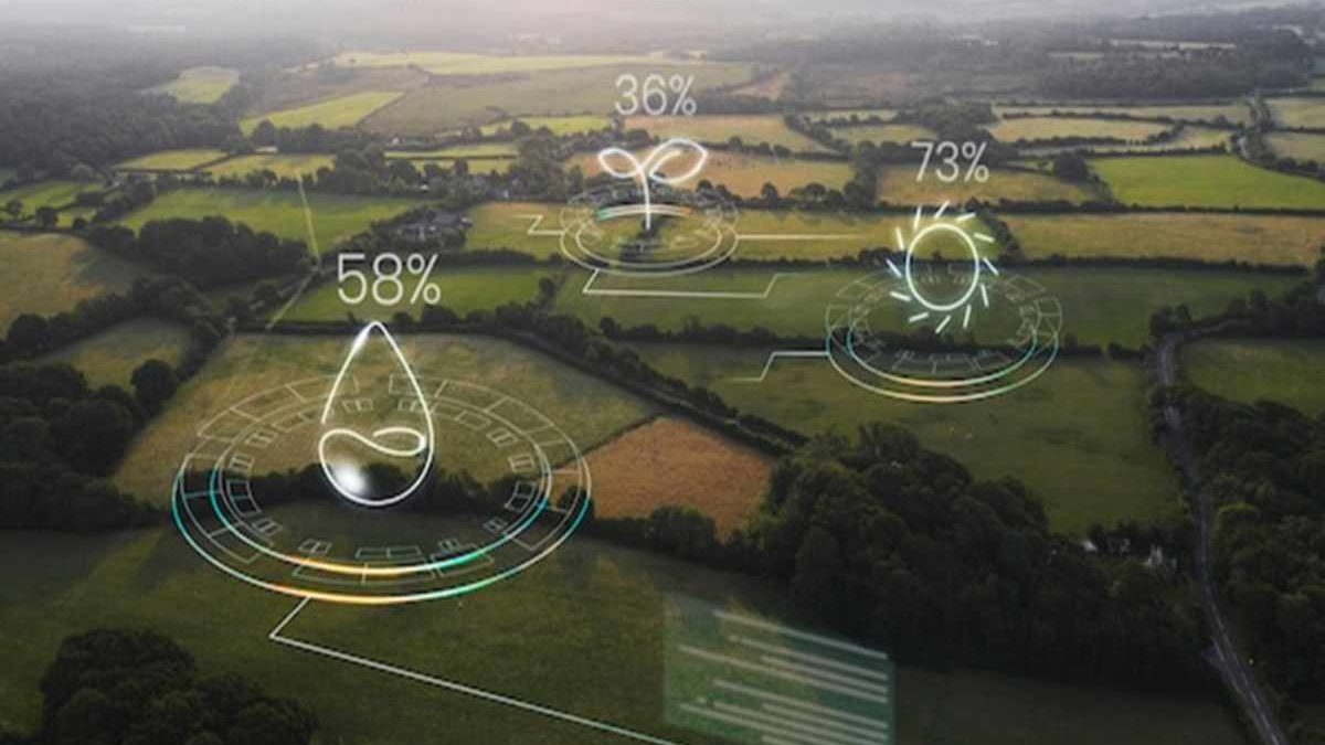 An Overview of Environmental Systems and Societies Courses