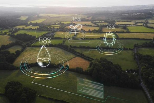 An Overview of Environmental Systems and Societies Courses